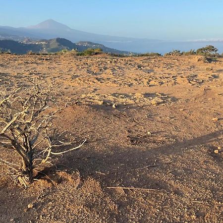 D-Espacios Zotea Tegueste المظهر الخارجي الصورة